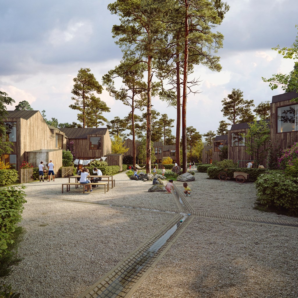Radhusen i skogen