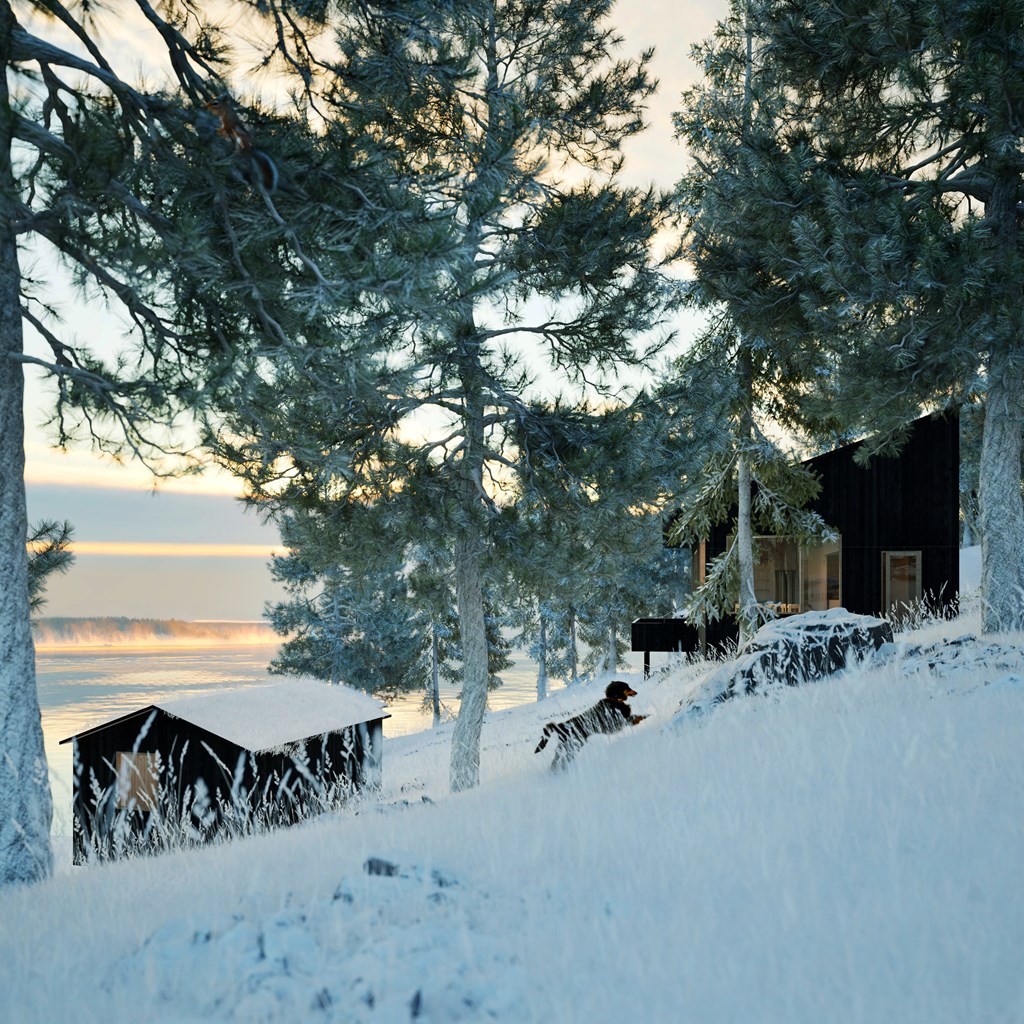 Tikanäs
