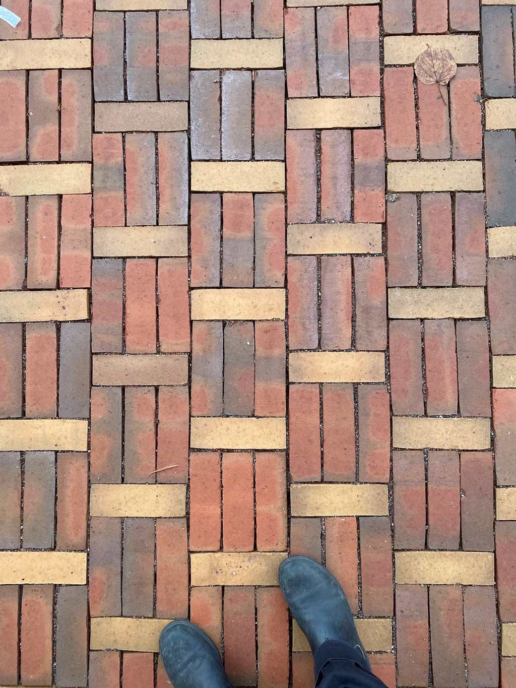 Fisktorget omvandlas till en levande mötesplats